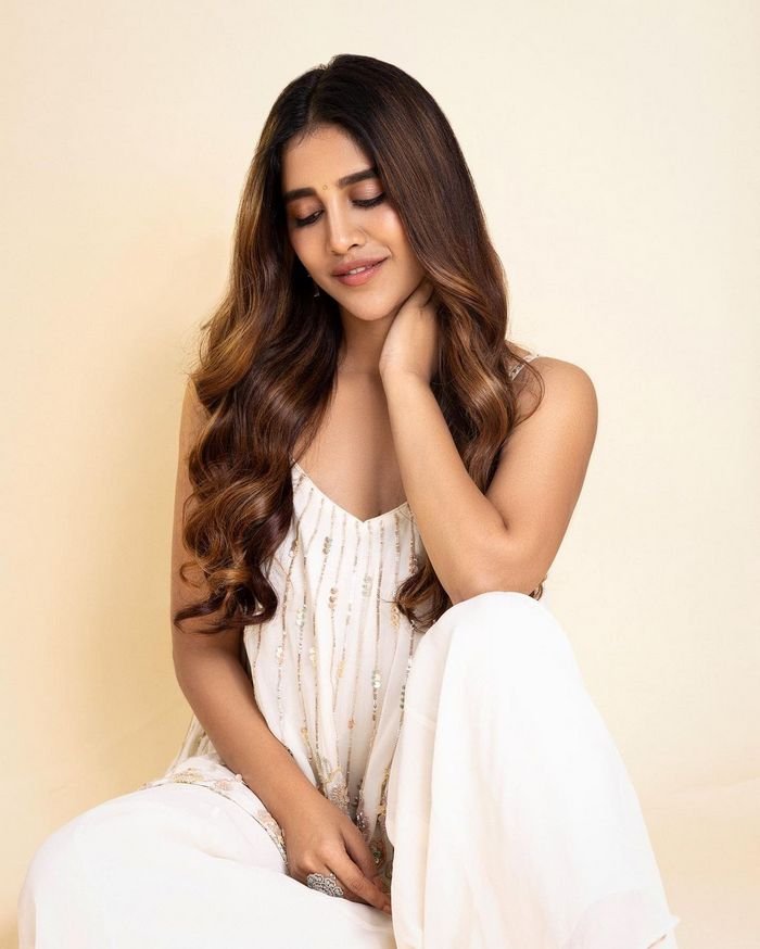 nabha natesh 4